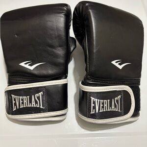 Everlast Core 2 Boxing/Training Gloves